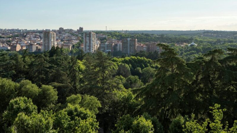 Contra el calor urbano, más naturaleza