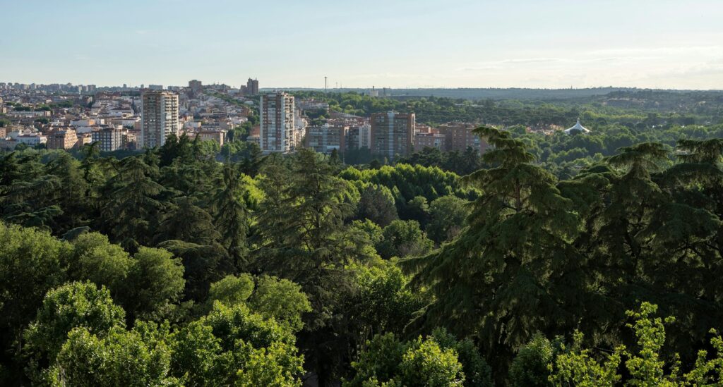 Contra el calor urbano, más naturaleza