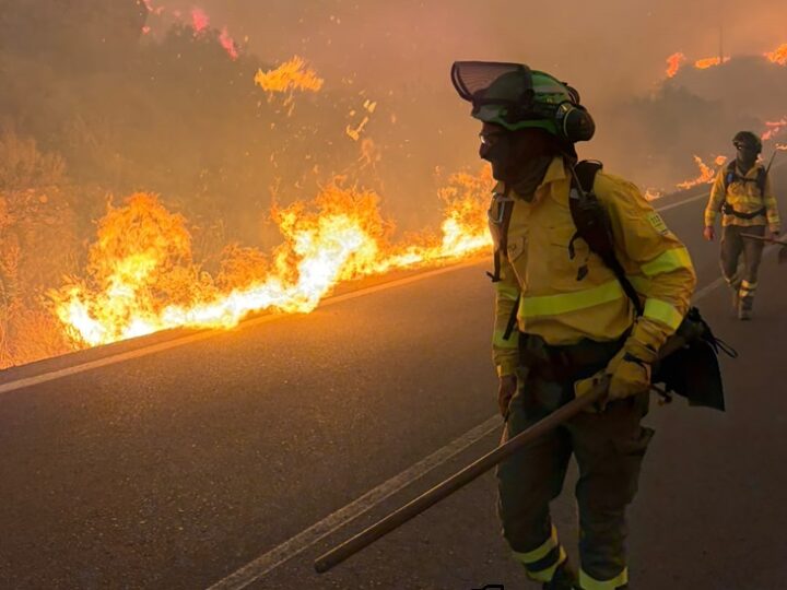 El incendio en Almería deja once fallecidos y reabre el debate sobre la prevención de los grandes incendios
