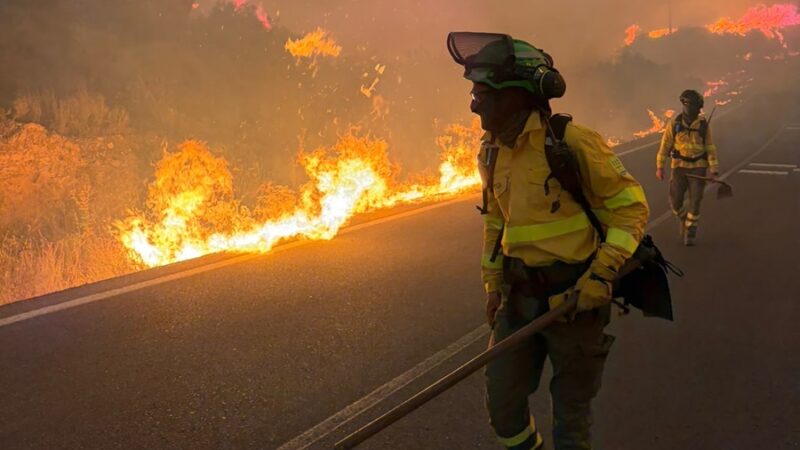 El incendio en Almería deja deja once fallecidos y reabre el debate sobre la prevención de los grandes incendios