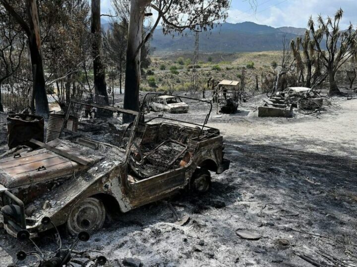 Los Gallardos: la gravedad de algunos incendios ya no se mide en hectáreas, sino en vidas