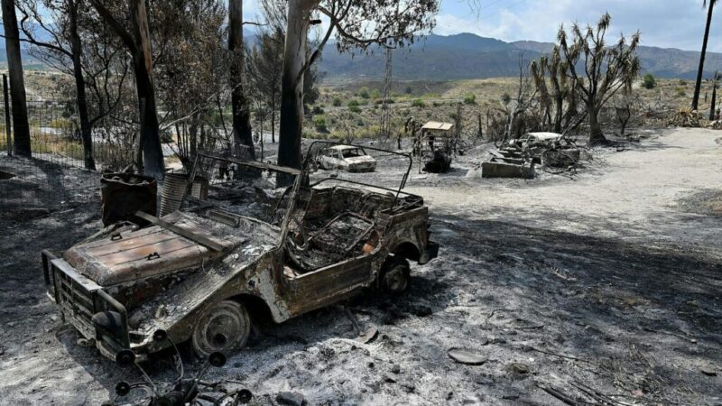 Los Gallardos: la gravedad de algunos incendios ya no se mide en hectáreas, sino en vidas