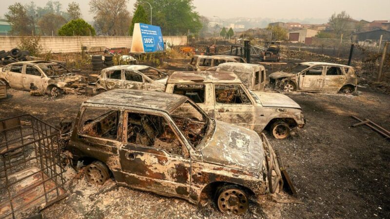 Blindado el empleo de las personas afectadas por los incendios con una prestación extraordinaria