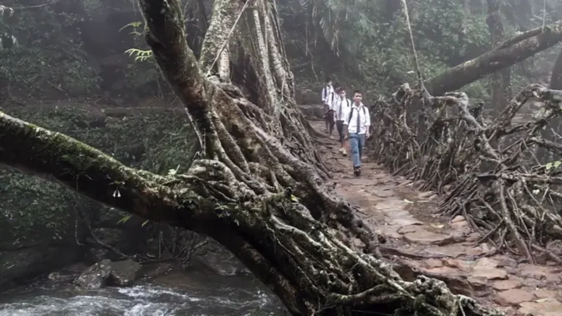 Diseñar con la naturaleza