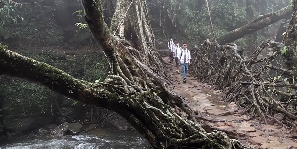 Diseñar con la naturaleza