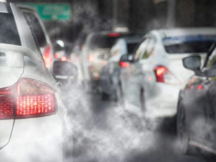 La desregulación ambiental supone un peligroso retroceso en los compromisos climáticos y de biodiversidad