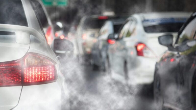 La desregulación ambiental supone un peligroso retroceso en los compromisos climáticos y de biodiversidad