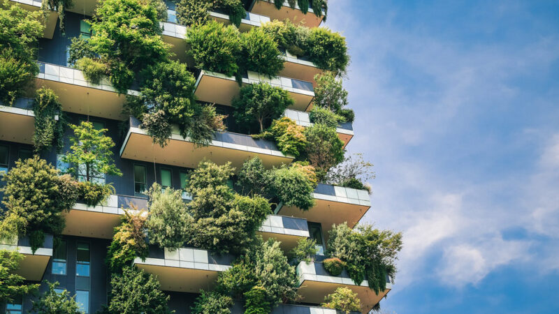 Ante la crisis socioambiental incontrolable: Reinventar las ciudades en clave social