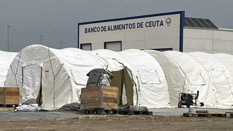 La arquitectura de la cordura