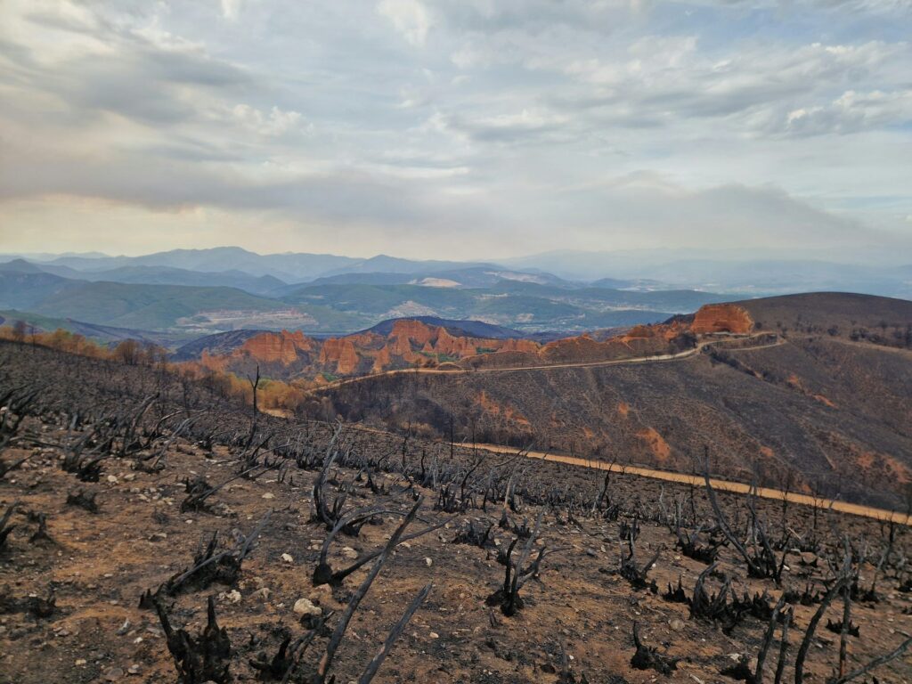 Las secuelas de los incendios: erosión, inundaciones, contaminación del agua y degradación de ecosistemas