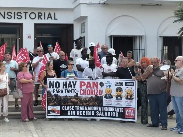 La recogida de la naranja agria, una amarga explotación laboral