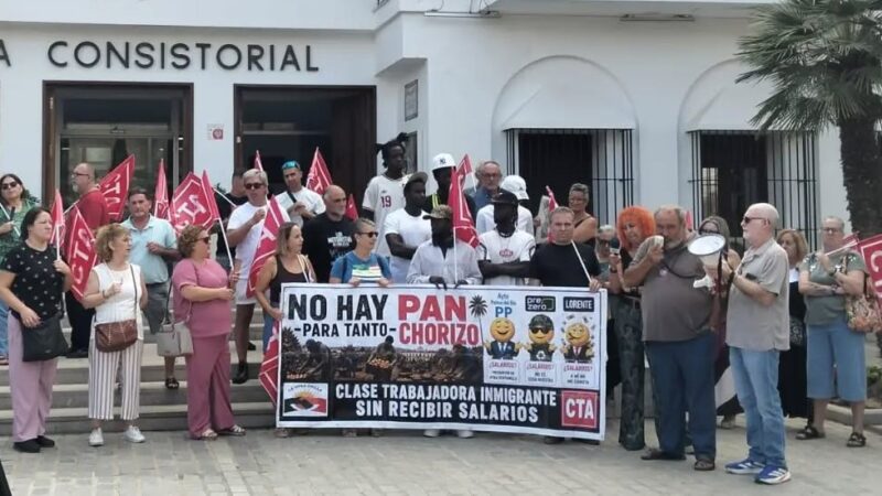 La recogida de la naranja agria, una amarga explotación laboral