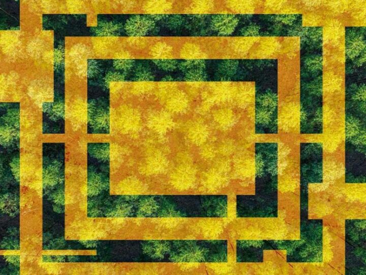 El ocaso del consenso verde en Europa